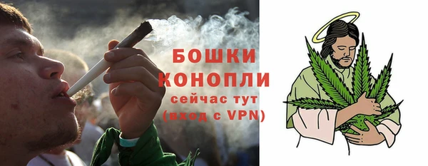 ГАЛЛЮЦИНОГЕННЫЕ ГРИБЫ Лихославль