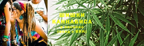 ГАЛЛЮЦИНОГЕННЫЕ ГРИБЫ Лихославль