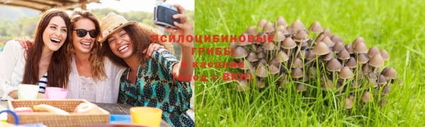 ГАЛЛЮЦИНОГЕННЫЕ ГРИБЫ Лихославль