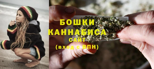 ГАЛЛЮЦИНОГЕННЫЕ ГРИБЫ Лихославль
