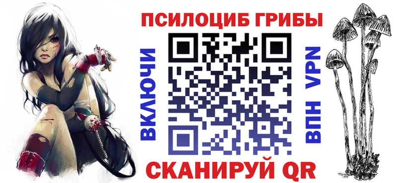 Псилоцибиновые грибы Cubensis  где можно купить   Хвалынск 